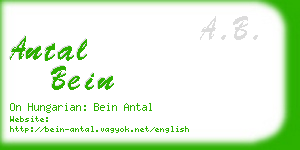 antal bein business card